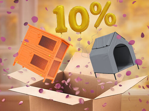 Open box with rabbit hutch and dog house popping out, purple petals scattered around. Yellow balloons show a 10% discount. Click to see the products in the offer.