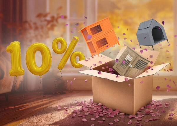 Open box with rabbit hutch, dog house, and pet cage popping out, purple petals scattered around. Yellow balloons show a 10% discount.