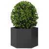 Product Thumbnail Image 8 of 10