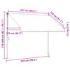 Product Thumbnail Image 12 of 12
