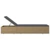 vidaXL Sunlounger Poly Rattan Brown and Dark Grey