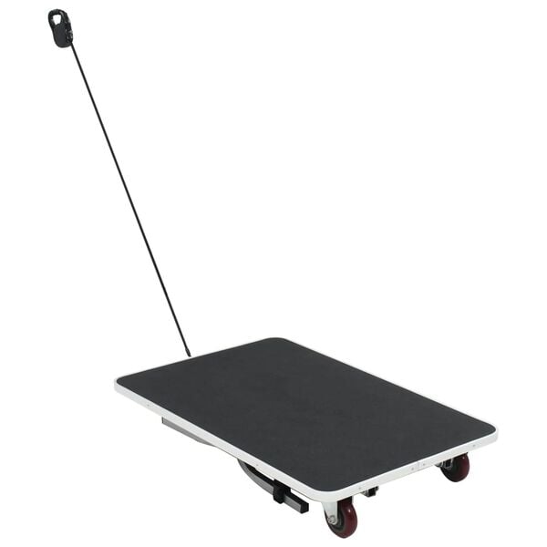 Showing Product Image 2 of 10