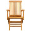 vidaXL Garden Chairs with Anthracite Cushions 3 pcs Solid Teak Wood