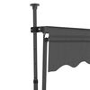 vidaXL Manual Retractable Awning with LED 250 cm Anthracite