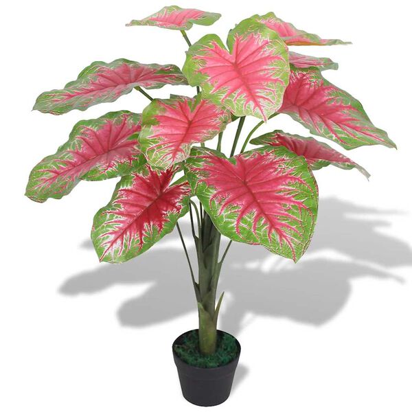 Showing Product Image 1 of 2