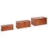 vidaXL Storage Chests 3 pcs Solid Acacia Wood