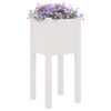 vidaXL Garden Planter White 31x31x70 cm Solid Pinewood