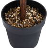Product Thumbnail Image 4 of 5