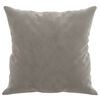 vidaXL Throw Pillows 2 pcs Light Grey 40x40 cm Velvet