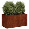 Product Thumbnail Image 2 of 11