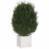 vidaXL Garden Planter White 40x40x40 cm Solid Pinewood