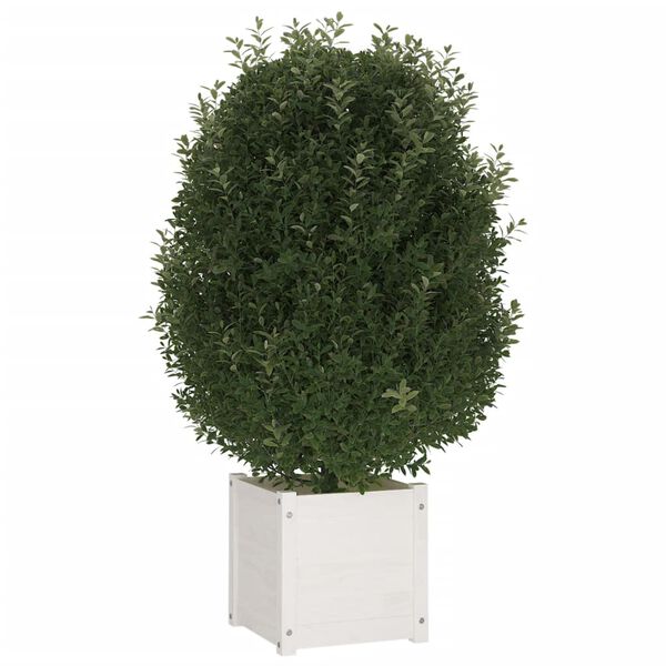 vidaXL Garden Planter White 40x40x40 cm Solid Pinewood