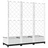 Product Thumbnail Image 6 of 8