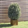 Product Thumbnail Image 2 of 8