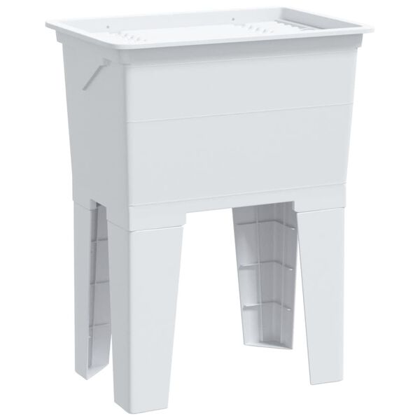 Showing Product Image 1 of 12
