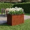 Product Thumbnail Image 3 of 17
