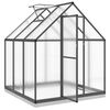 vidaXL Greenhouse with Base Frame Anthracite 169x169x202 cm Aluminium