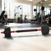 vidaXL 2-in-1 Dumbbell Set Black and Red 121 x 19.5 x 19.5 cm