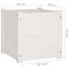 Product Thumbnail Image 9 of 9