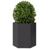 Product Thumbnail Image 5 of 13