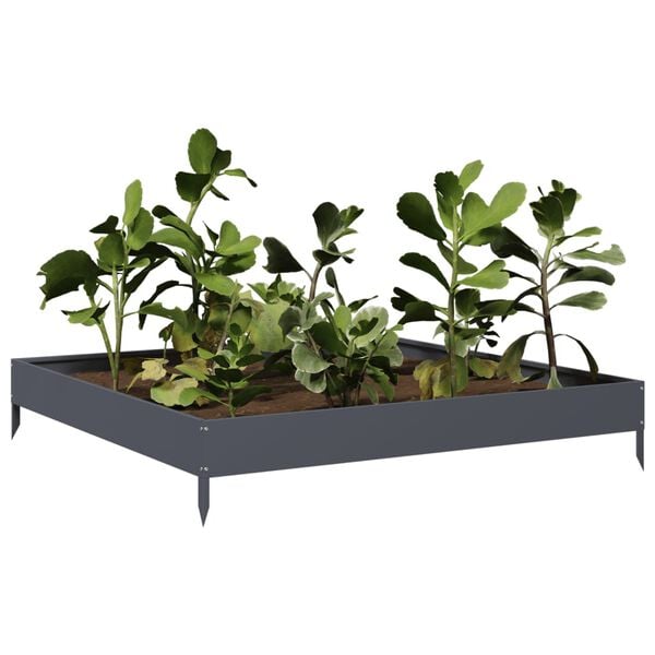 Showing Product Image 3 of 10