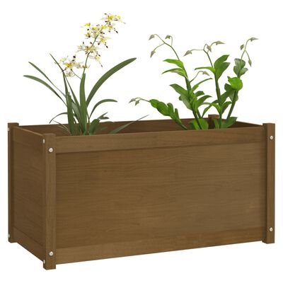 vidaXL Garden Planter Honey Brown 100x50x50 cm Solid Pinewood