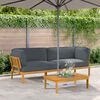 vidaXL Sofa Set with Cushion Plain 2 pcs Anthracite Solid Acacia Wood