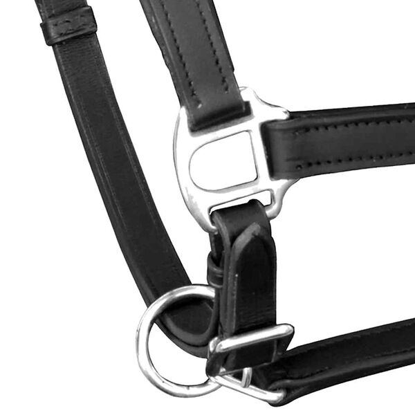 Showing Product Image 2 of 3