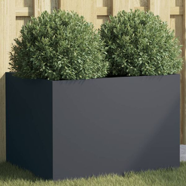Showing Product Image 2 of 11