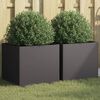 Product Thumbnail Image 2 of 10