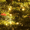 Product Thumbnail Image 6 of 13
