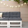 White_pine