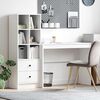 vidaXL Desk with Drawer 2 pcs White