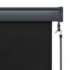 vidaXL Outdoor Roller Blind 140x250 cm Anthracite