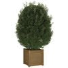 Product Thumbnail Image 3 of 8