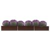 Product Thumbnail Image 2 of 6