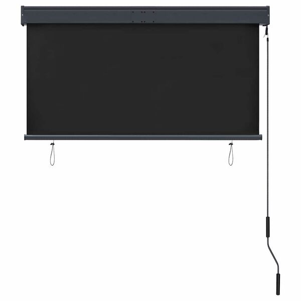 vidaXL Outdoor Roller Blind 120x250 cm Anthracite