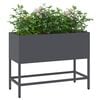 Product Thumbnail Image 3 of 12