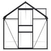 vidaXL Greenhouse with Base Frame Anthracite Aluminium 5.89 m²