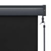 vidaXL Outdoor Roller Blind 120x250 cm Anthracite