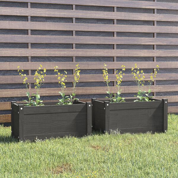 vidaXL Garden Planters 2 pcs Grey 60x31x31 cm Solid Pinewood