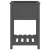 vidaXL Planter with Shelf Grey 54x54x81 cm Solid Wood Pine