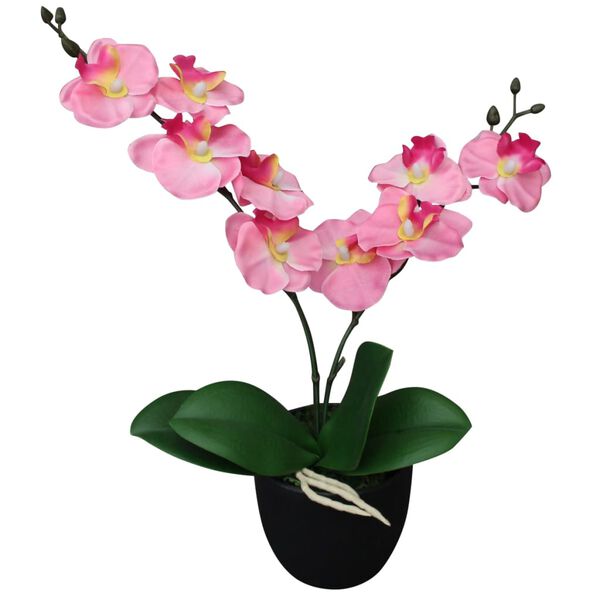 Showing Product Image 1 of 2