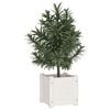 Product Thumbnail Image 3 of 8