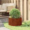 Product Thumbnail Image 4 of 12