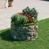 Product Thumbnail Image 2 of 6