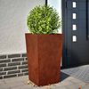 Product Thumbnail Image 2 of 12