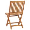 vidaXL Folding Garden Chairs 2 pcs Solid Teak Wood