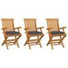 vidaXL Garden Chairs with Anthracite Cushions 3 pcs Solid Teak Wood