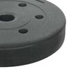 vidaXL Weight Plates 4 pcs Black &Oslash; 21.5 x 3.8 cm